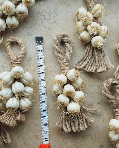 Knoblauch/Maiskolben mit/ohne Kühlschrankmagnet