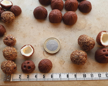 Kokosnuss als Miniaturen