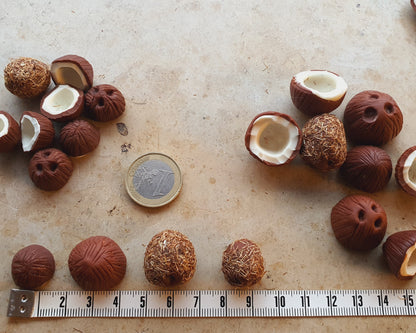 Kokosnuss als Miniaturen