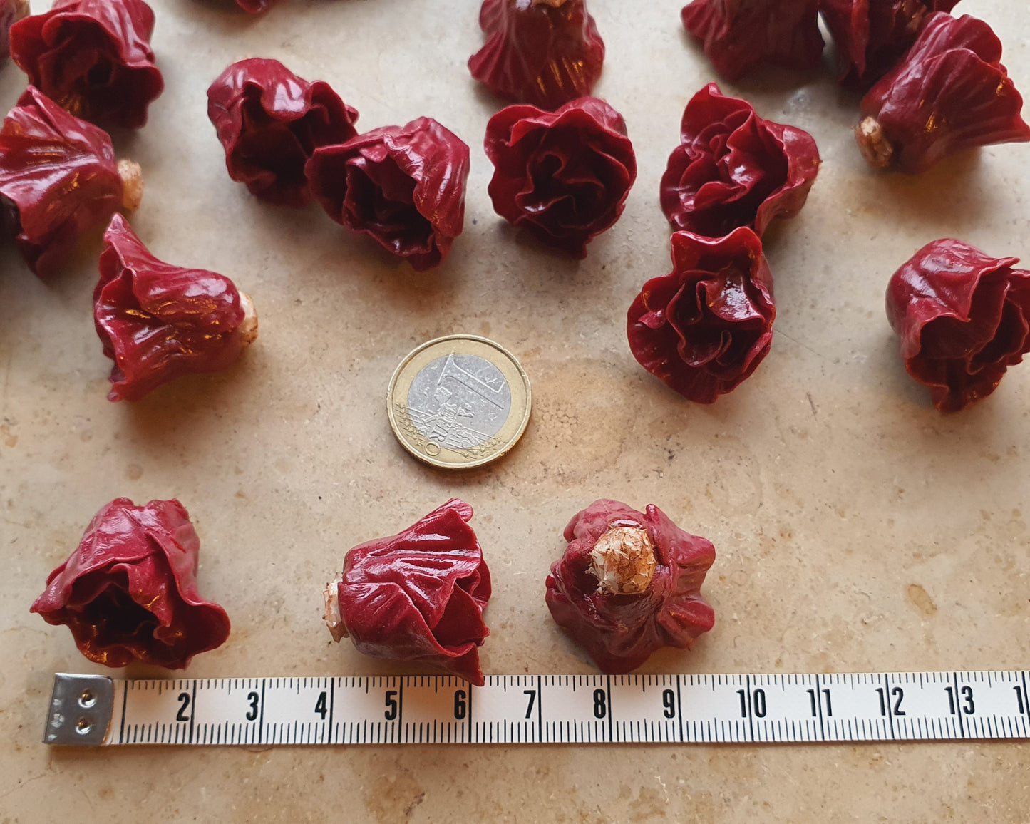 Rotkohl als Miniaturen
