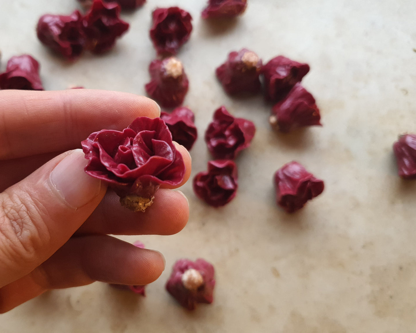 Rotkohl als Miniaturen