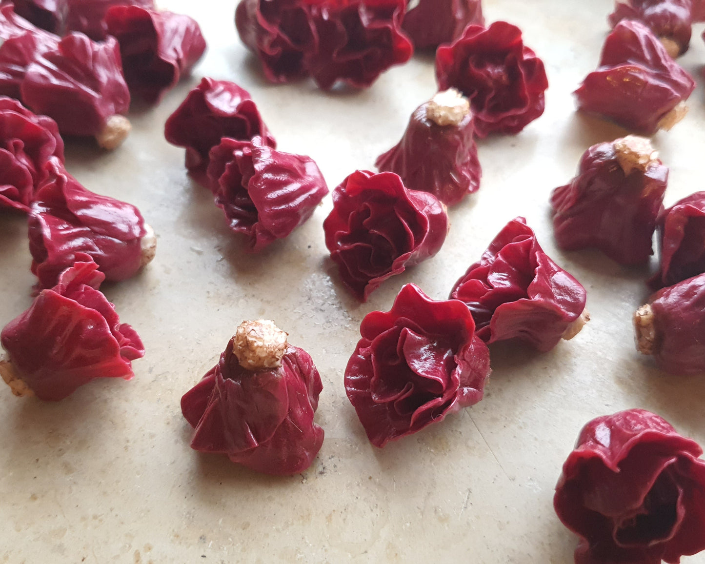 Rotkohl als Miniaturen