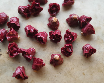 Rotkohl als Miniaturen