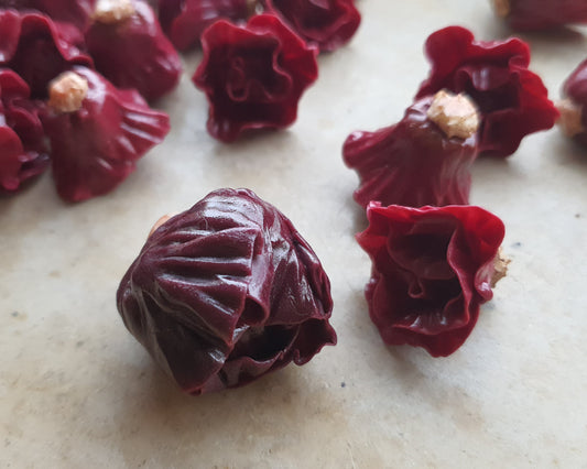 Rotkohl als Miniaturen
