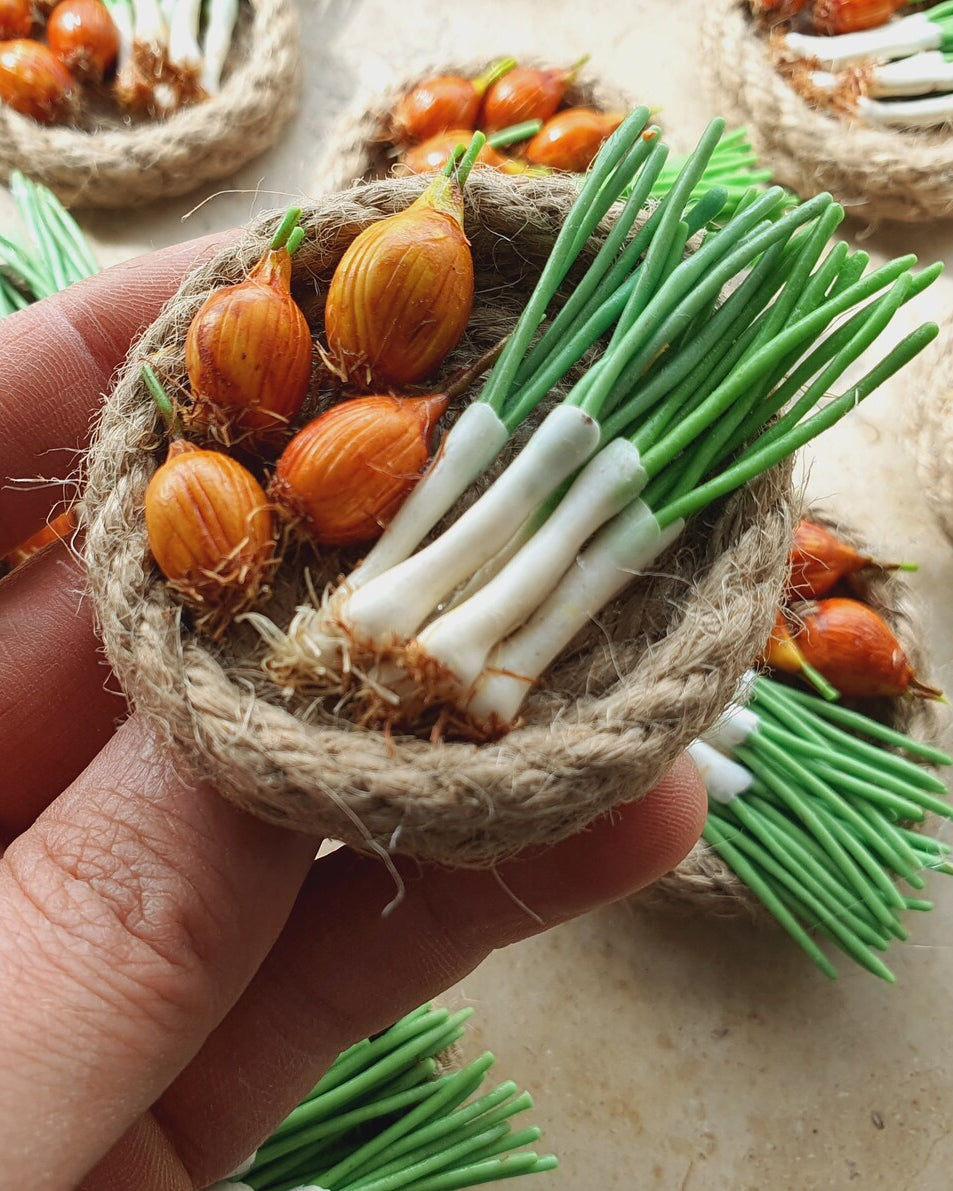 Zwiebelschale mit Kühlschrankmagnet